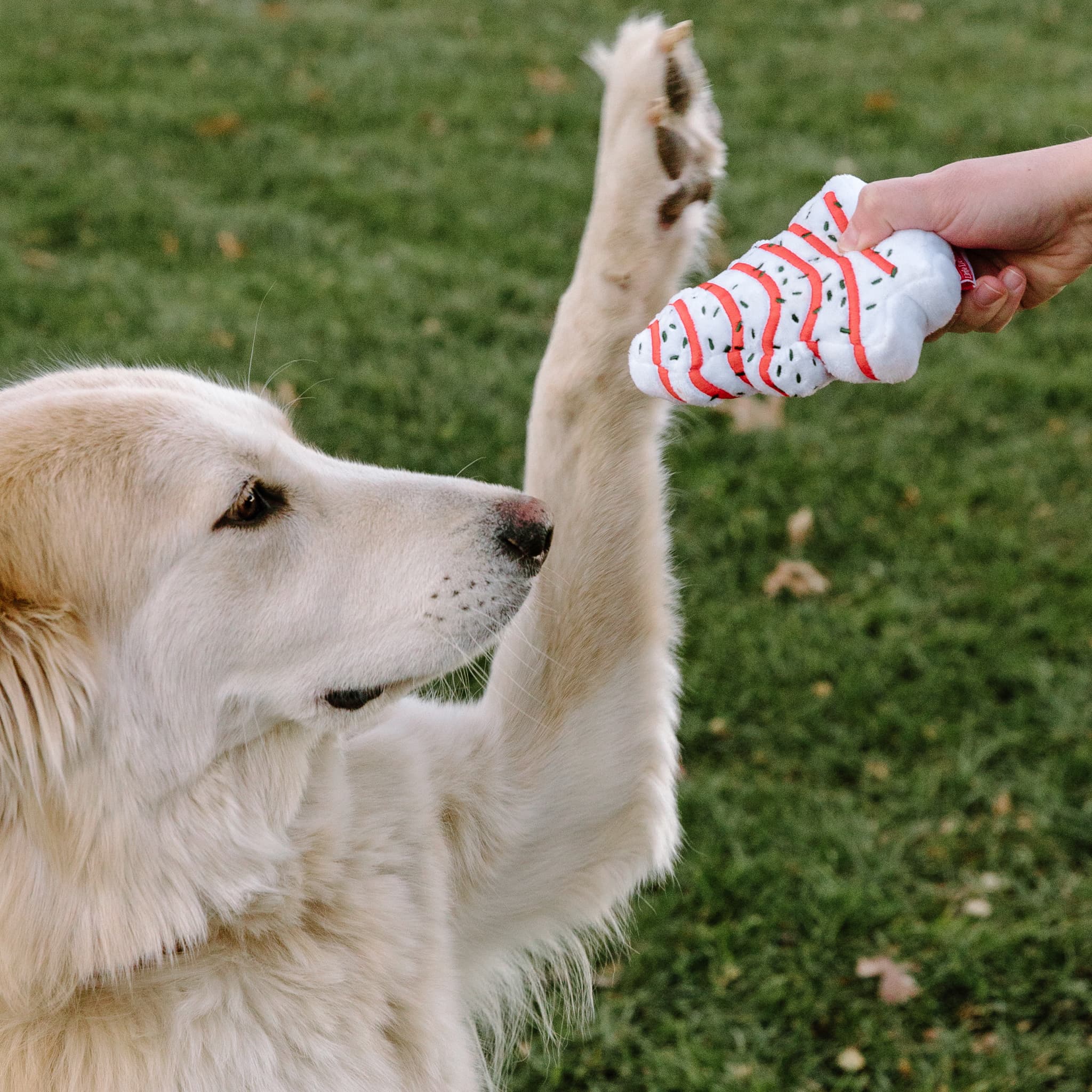 Christmas Tree Cakes® Small Dog Toy - Image 2
